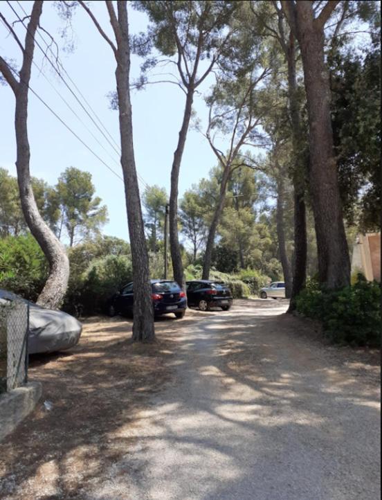Villa Club Sanary Dans Residence Fermee Et Arboree 10Min A Pied De La Plage מראה חיצוני תמונה